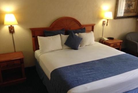 Southeast Houston Hotel | Downtowner Inn and Suites - Houston