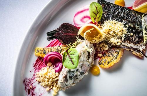 Chathill Hotel | Doxford Hall Hotel And Spa