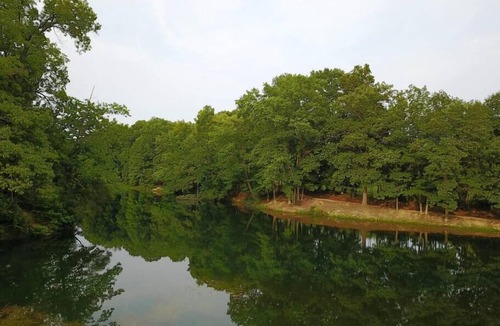 Helmsburg Cabin | "Doyle" Camping Cabin #13 | Pet Friendly