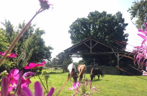 Plesse House | Dpt44 Gite à la ferme accueil PMR
