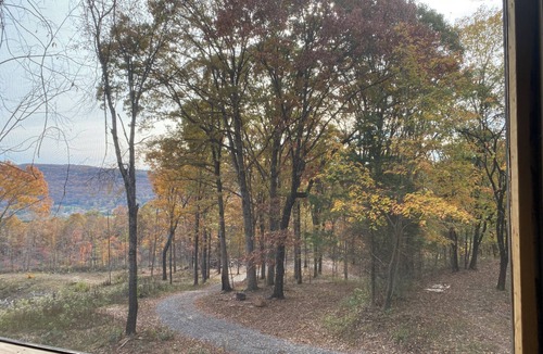 Mountainburg Cabin | ~Dragonfly Cabin~ n20 private acres and Mountain View!
