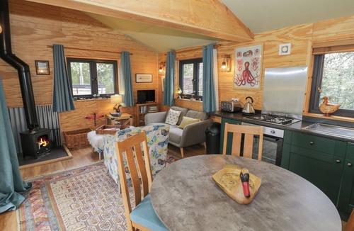 Frankton Cottage | Dragonfly