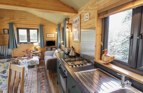 Frankton Cottage | Dragonfly