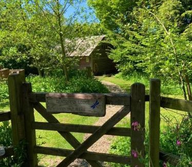 Buckton Cabin | Dragonfly Lodge