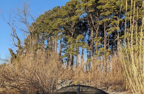 Reedville Cottage | "Dragonfly" Waterfront Cottage on Chesapeake Bay