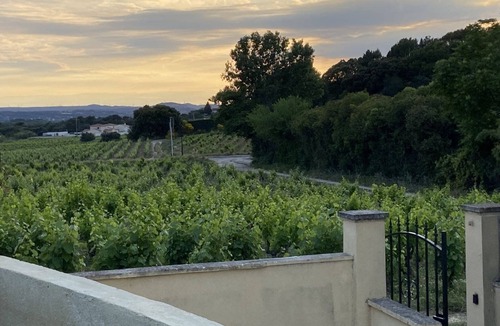 Chateauneuf-du-Pape Villa | Dream holiday at Villa Syrah