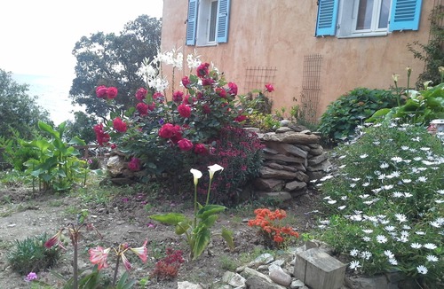 Meria Apartment | DREAM HOLIDAY IN PEACE THE WATERFRONT