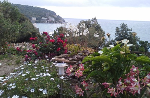 Meria Apartment | DREAM HOLIDAY IN PEACE THE WATERFRONT