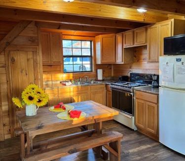Winona House | Dream of a Log Cabin