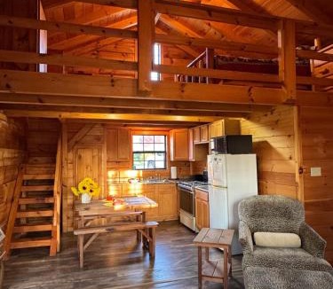 Winona House | Dream of a Log Cabin