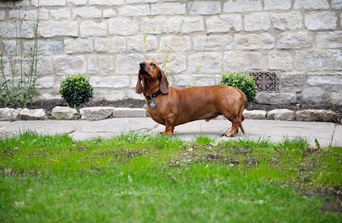 Bath House | Dream Stays Bath - Southbank