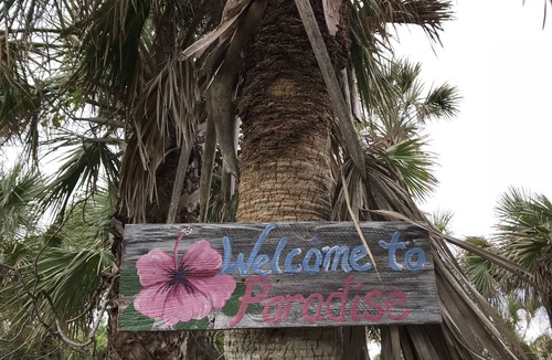 South Venice Villa | Dream villa in a quiet location with private pool