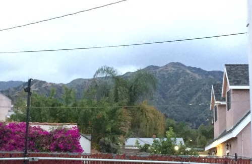 Burbank House | Dreams & Streams . Second dwelling with front yard and backyard.