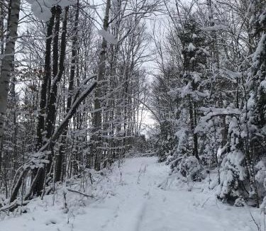 Warren Ski Chalet | Dreamy Artist Chalet in Secluded Historic Village