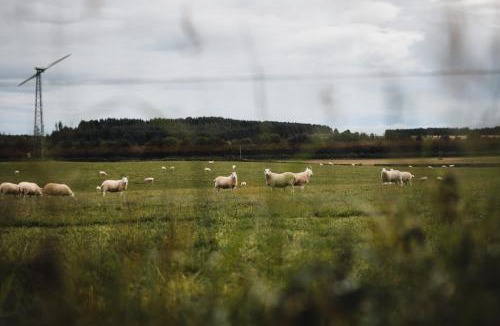 Murthill Other | Dreish - Glamping Pod