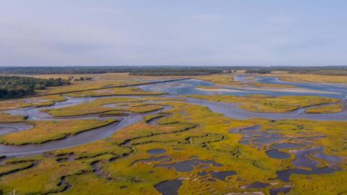 Pine Point House | Driftwood Cottage by Bayley Vacation Rentals