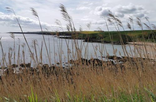 Eyemouth House | Driftwood