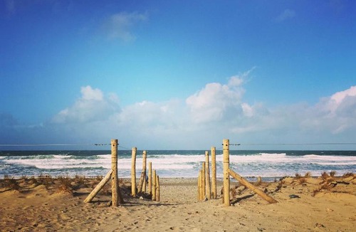 Porthtowan Apartment | Driftwood