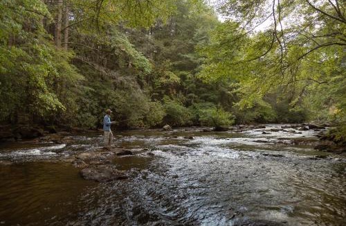 McCaysville House | Driftwood Rapids Villa