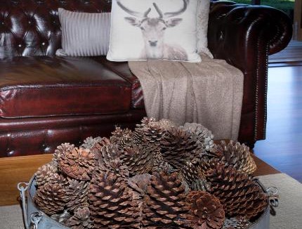 Acheron Bed & Breakfast | Drom Aluinn B & B