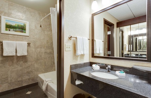 Downtown St. Louis Hotel | Drury Plaza Hotel St. Louis at the Arch
