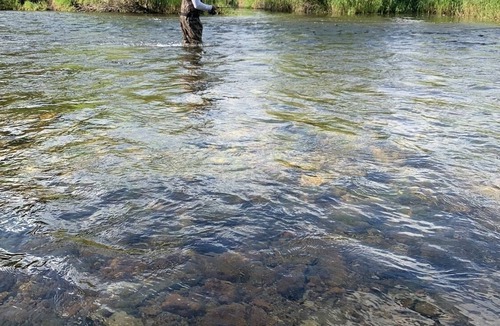 Conner Cabin | Dry Cabin #9, sleeps 2 guest maximum