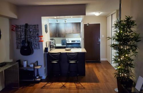 Upper Jarvis Apartment | DT Apt great view whit garden