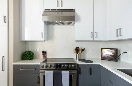 Printers Row Apartment | DTown Penthouse - 4bd/4ba (+Parking + Gym)