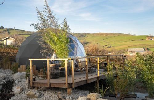 Saint-Martin-la-Plaine Other | du coq à l'âne