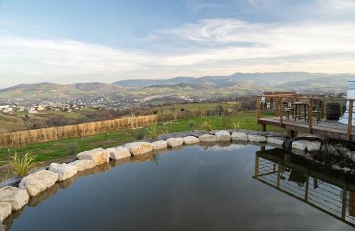 Saint-Martin-la-Plaine Other | du coq à l'âne