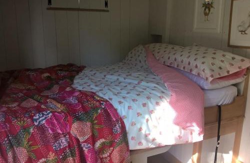 Dundon House | Duck Hut