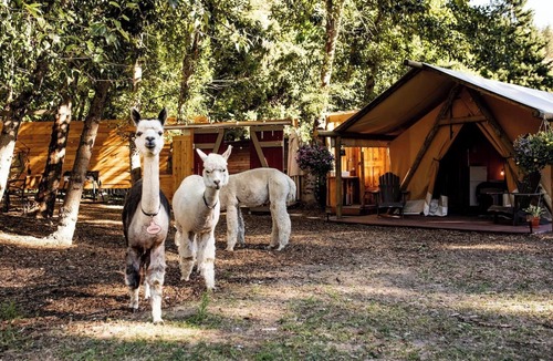 The Dalles RV Rental | Duck Pond Oasis - Glamping