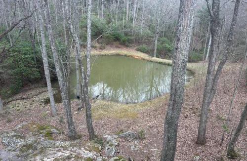 Turtletown House | Ducks Nest Retreat