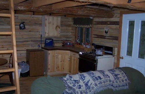 Dansville Cabin | Dueck Cabinnn