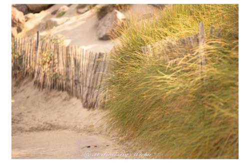 Stella-Plage Bed & Breakfast | Dunéa