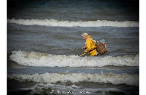 Stella-Plage Bed & Breakfast | Dunéa
