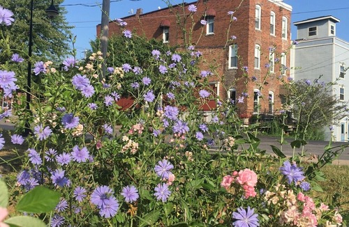 Baldwinsville Apartment | Dunbar Island Loft overlooking Erie Canal and Seneca river, on 2nd level