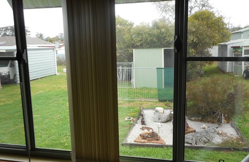 Dunedoo Cabin | Dunedoo - Caddy Shack