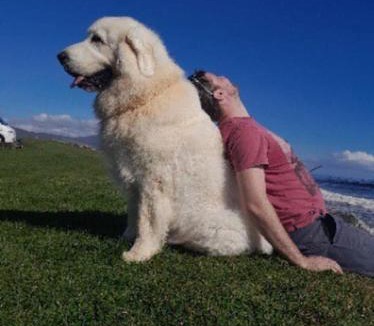 Hunspow House | Dunes View, Cottage1, Dunnetbay accommodation