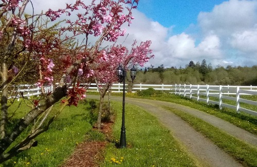 Sequim Apartment | Dungeness Manor in the Heart of the Dungeness Valley