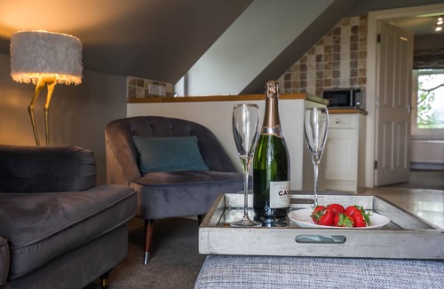 Fintry Apartment | Dunroamin Apartment