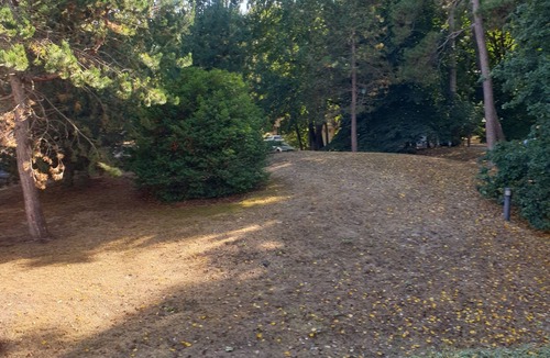 Saint-Pair-sur-Mer Apartment | Duplex 47 m2 in wooded setting