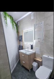 Saverne Apartment | Duplex 63m2 au coeur de SAVERNE