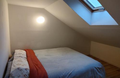 Cirey-sur-Vezouze House | Duplex Apartment -Cirey-sur-Vezouze