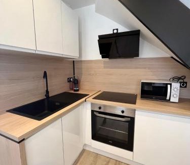 Pierre-Benite Apartment | Duplex avec terrasse à 15 min de Lyon