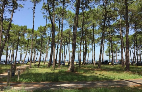 Biscarrosse Apartment | Duplex - Bicarrosse