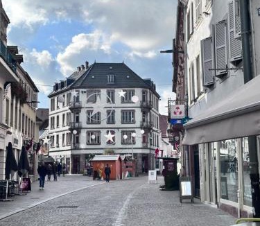 Haguenau Apartment | Duplex confort exceptionnel hyper centre parking à proximité