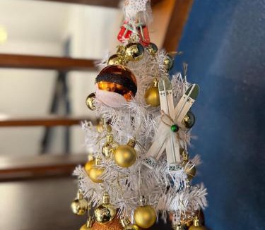 Challes-les-Eaux Apartment | Duplex cosy