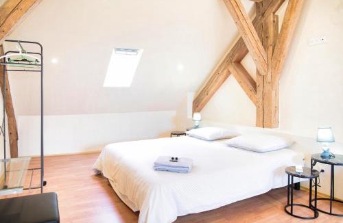 Divonne-les-Bains Apartment | Duplex dans grande ferme rénovée
