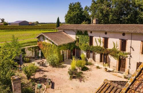 Montans House | Duplex des Vignes - Nature - Montans